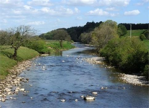 Abbotshaw House Farm B&B Newcastleton Экстерьер фото